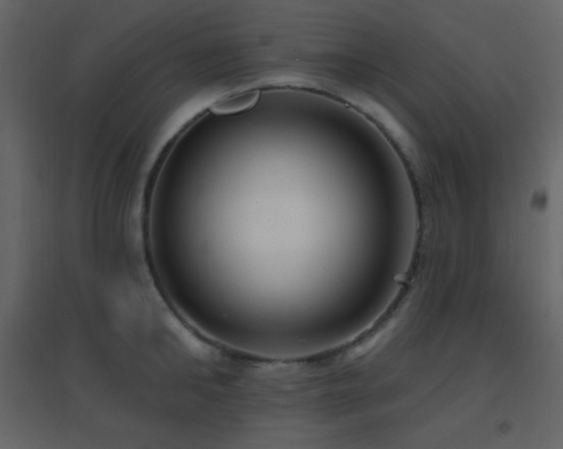 X0000096690902200802051343