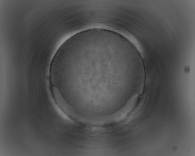 X0000096690903200802051343