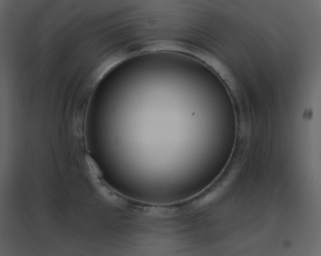 X0000096690905200802051343