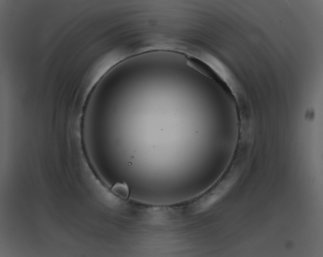 X0000096690906200802051343