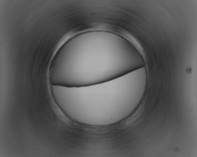 X0000096690907200802051343