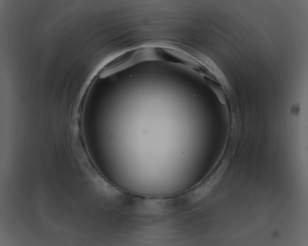 X0000096690908200802051343