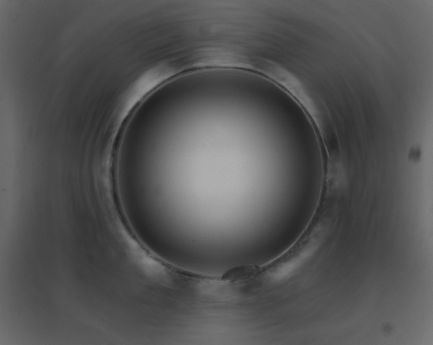 X0000096690909200802051343