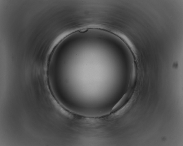 X0000096690910200802051343