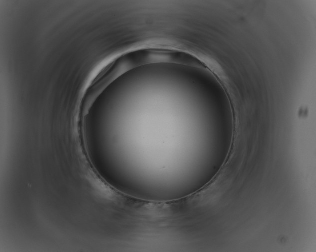 X0000096690912200802051343