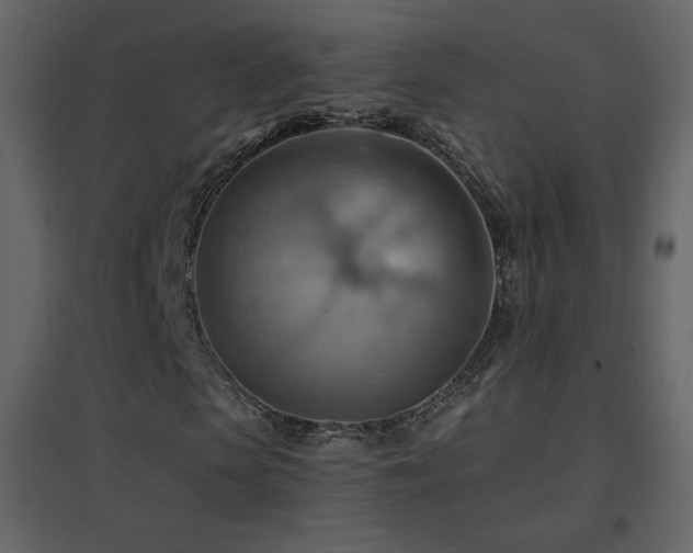 X0000096690913200802051342