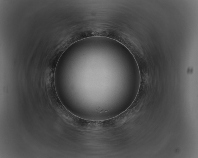 X0000096690914200802051342