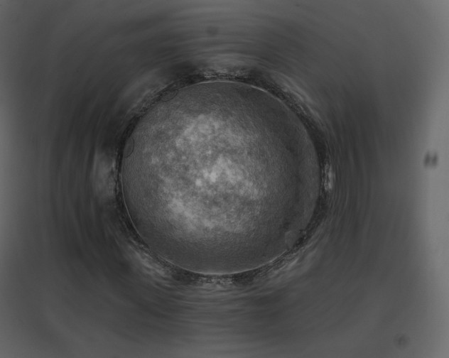 X0000096690915200802051342