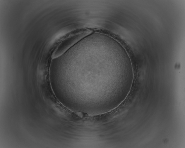 X0000096690920200802051342