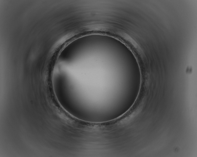 X0000096690922200802051342