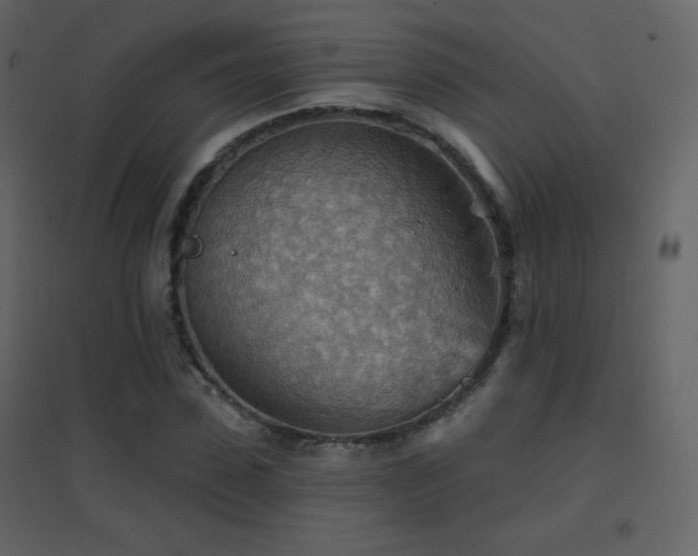 X0000096690923200802051342
