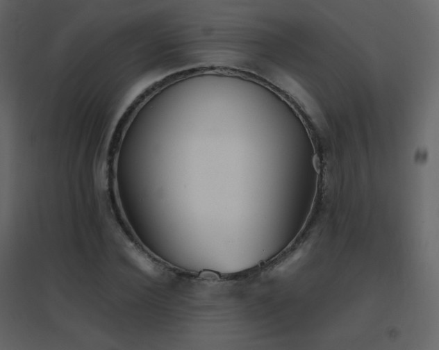 X0000096690924200802051342
