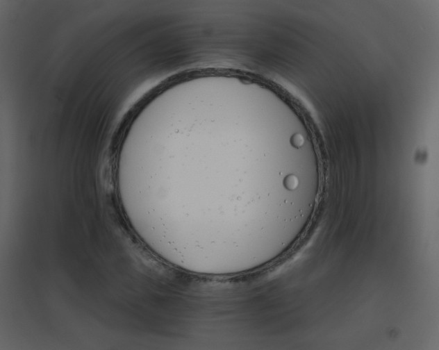 X0000096690925200802051342