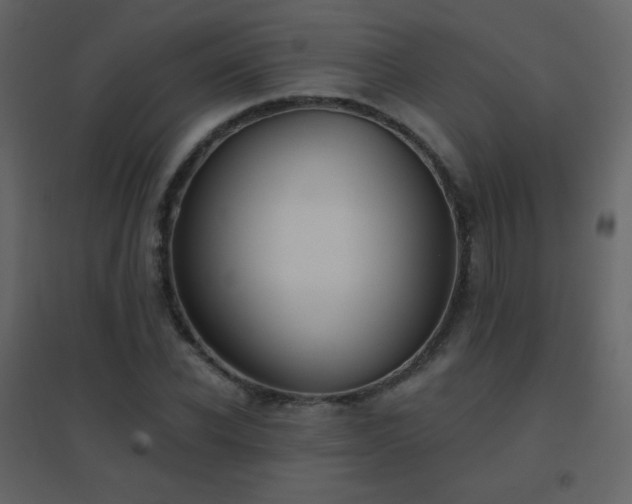 X0000096690926200802051342