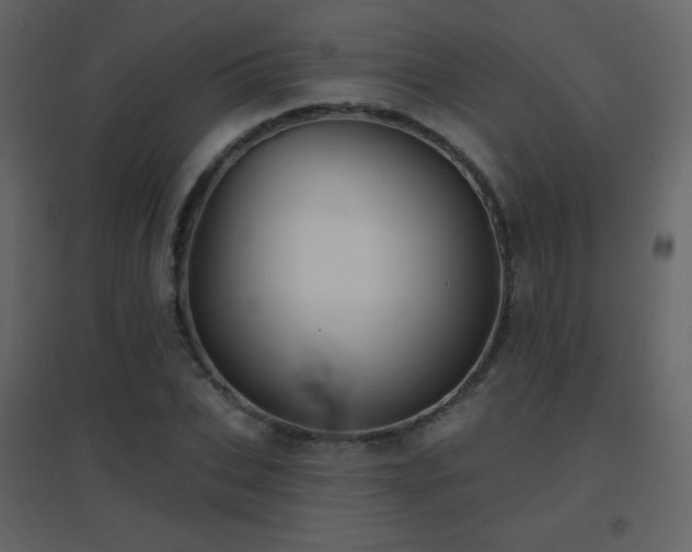 X0000096690927200802051342