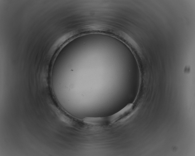 X0000096690930200802051342