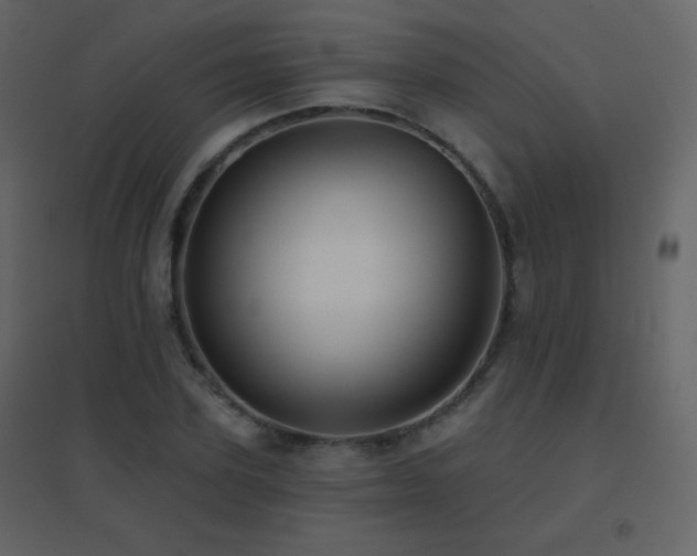X0000096690931200802051342