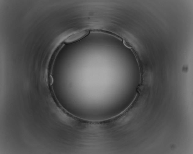 X0000096690932200802051342