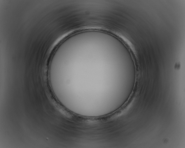 X0000096690933200802051342
