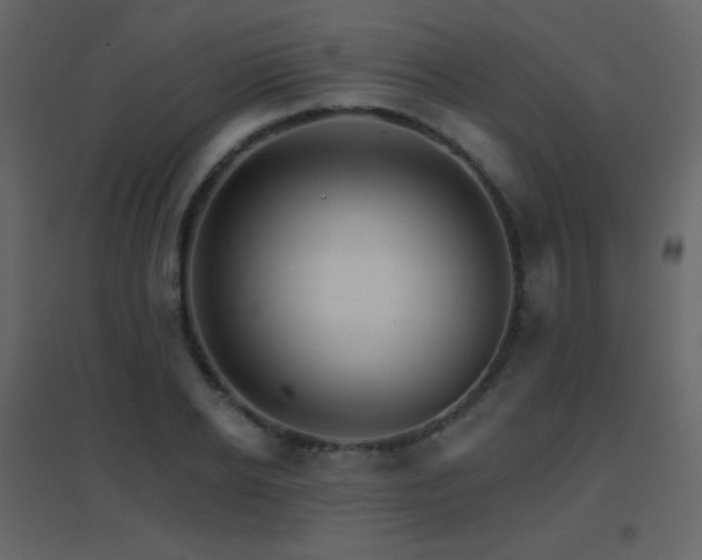X0000096690934200802051342