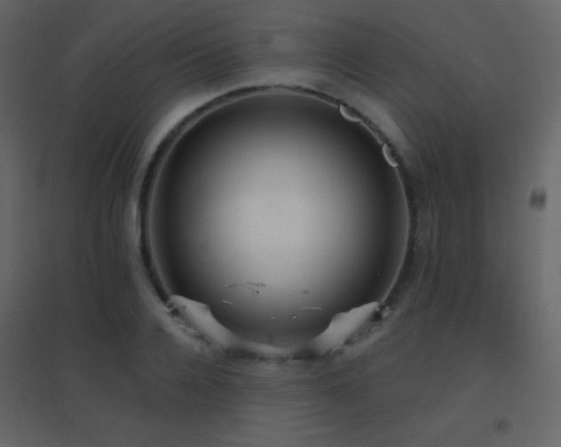 X0000096690936200802051343