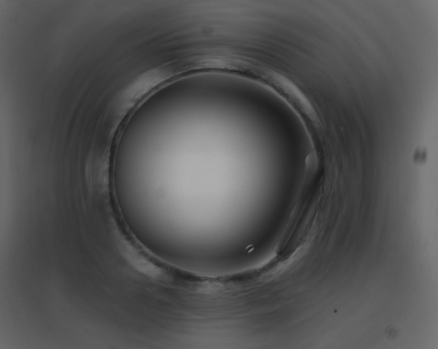 X0000096690938200802051343