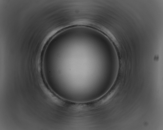 X0000096690939200802051343