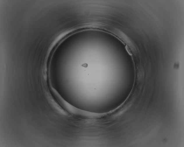 X0000096690940200802051343