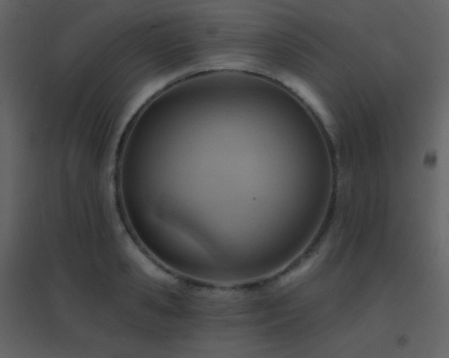 X0000096690941200802051343