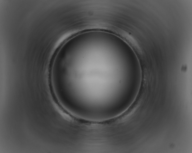 X0000096690942200802051343