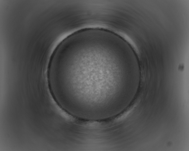 X0000096690943200802051343