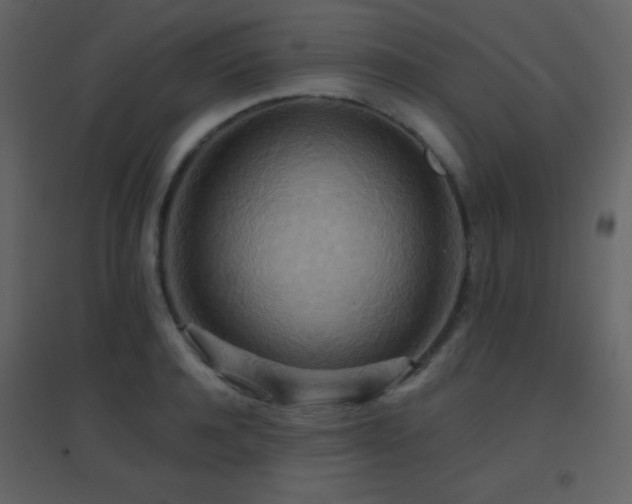 X0000096690944200802051343