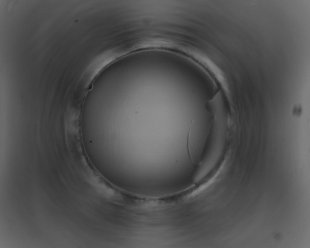 X0000096690945200802051343