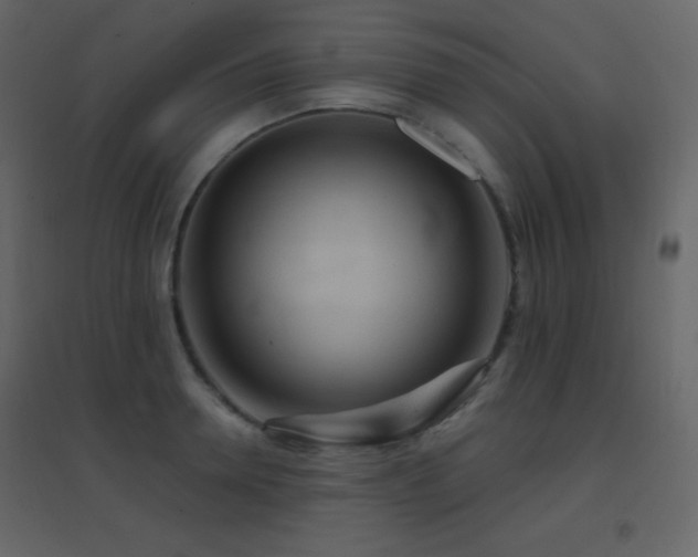 X0000096690946200802051343