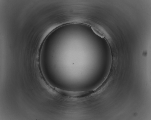 X0000096690948200802051343