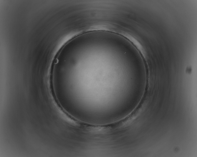 X0000096690949200802051343