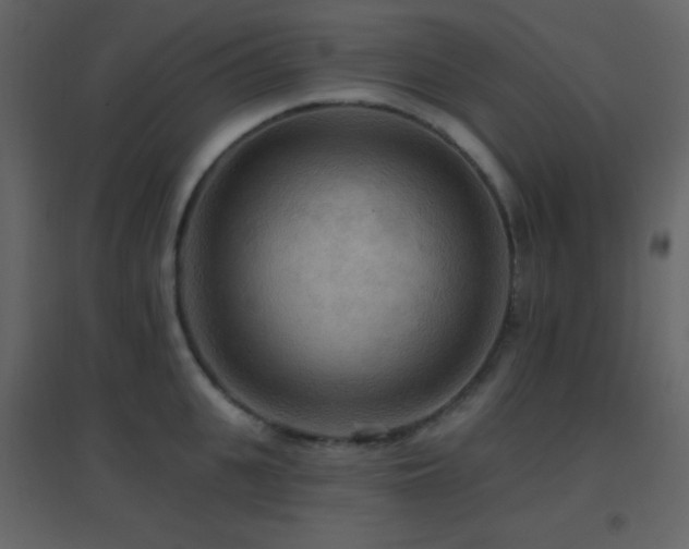 X0000096690951200802051343