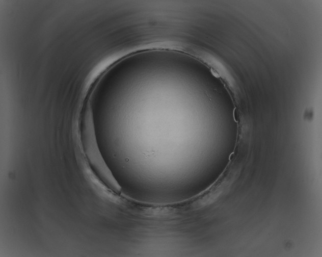 X0000096690952200802051343