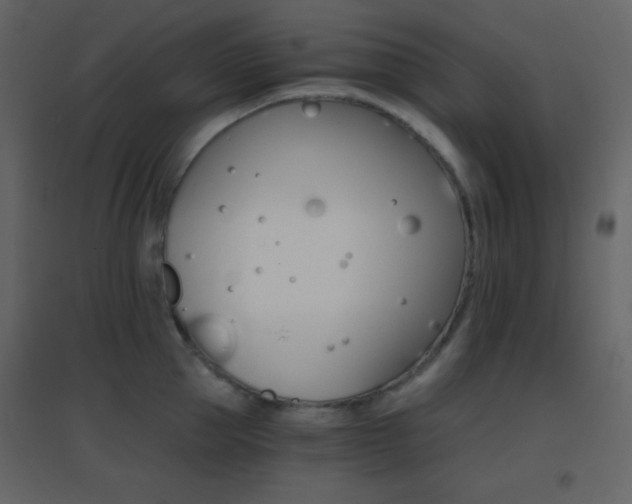 X0000096690953200802051343