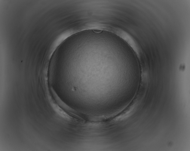 X0000096690954200802051343