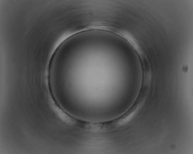 X0000096690955200802051343