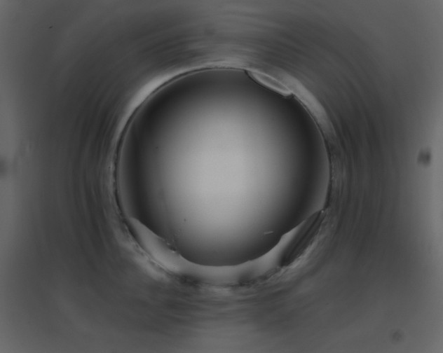 X0000096690956200802051343