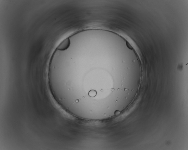 X0000096690957200802051343