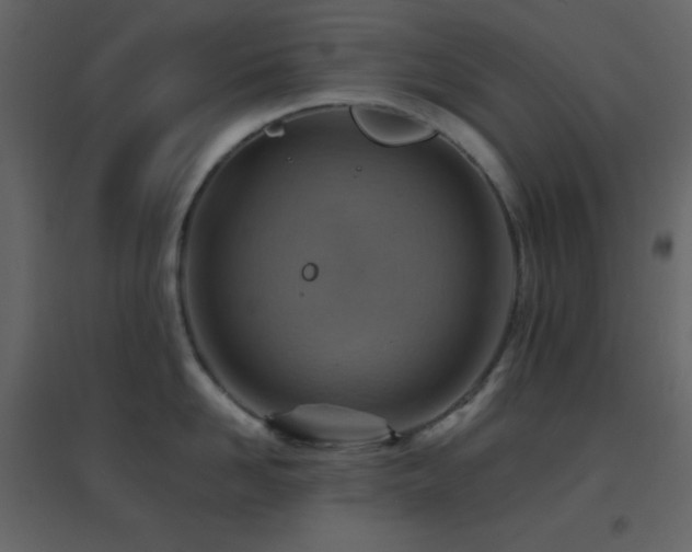 X0000096690958200802051343