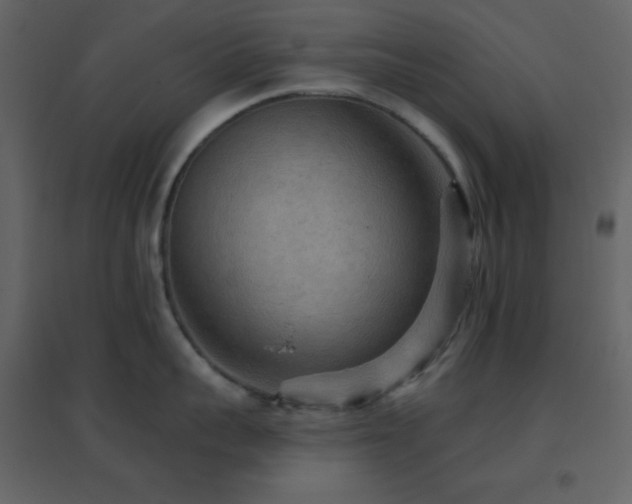 X0000096690959200802051343