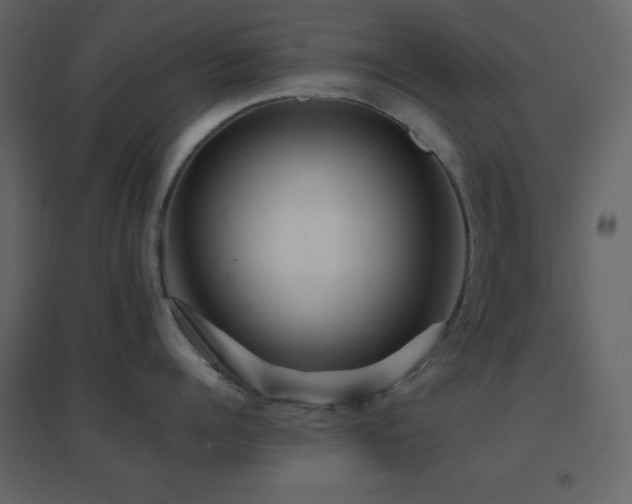 X0000096690960200802051343