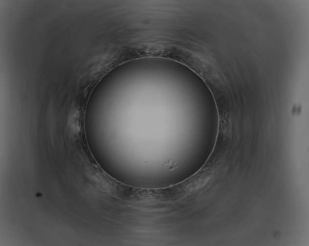 X0000096690962200802051342