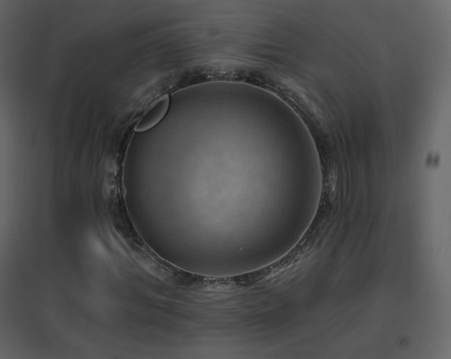 X0000096690964200802051342