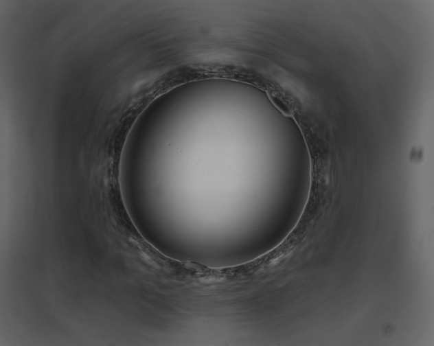 X0000096690965200802051342