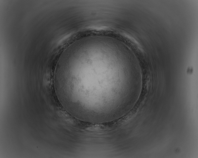 X0000096690966200802051342